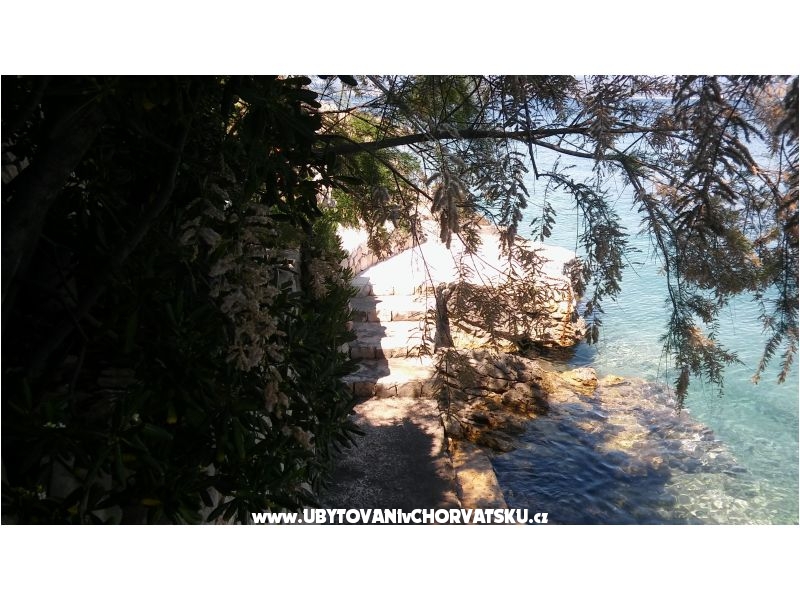 Appartements Nikola – Ferienwohnung Insel Solta, Kroatien – Foto 4