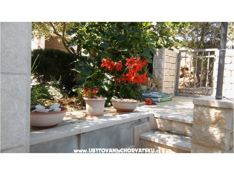 Appartements Nikola – Ferienwohnung Insel Solta, Kroatien – Foto 5