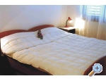 Appartements Oli - ostrov olta Kroatien