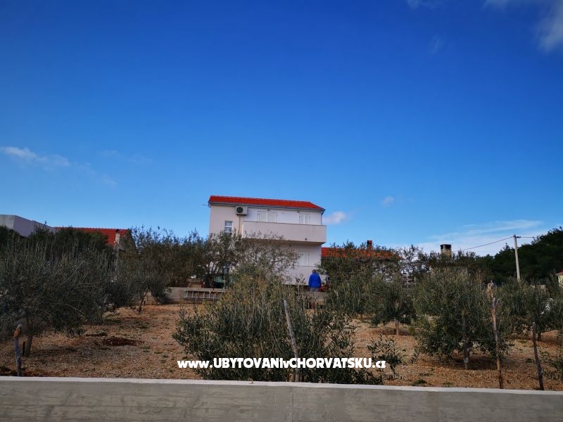 Appartements Sušac – Ferienwohnung Insel Solta, Kroatien – Foto 16