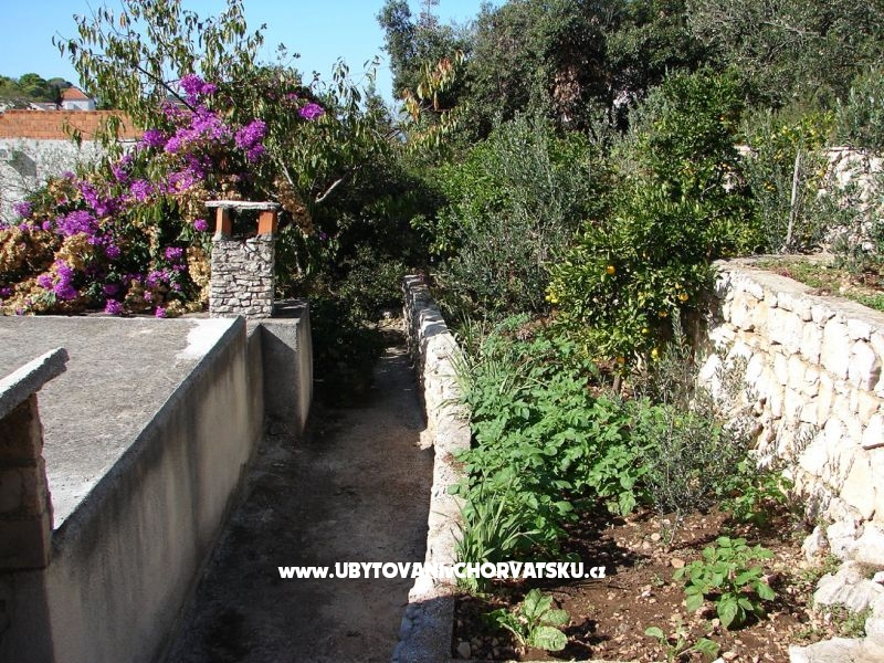 Apartment Terezija – Ferienwohnung Insel Solta, Kroatien – Foto 6