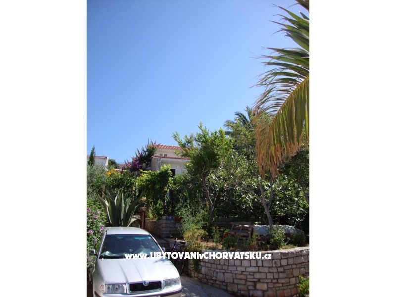 Appartements Zlatko Slobodan – Ferienwohnung Insel Solta, Kroatien – Foto 2