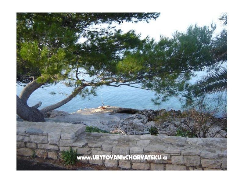 Appartements Zlatko Slobodan – Ferienwohnung Insel Solta, Kroatien – Foto 3