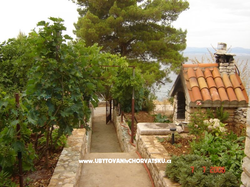 Appartements Zlatko Slobodan – Ferienwohnung Insel Solta, Kroatien – Foto 4