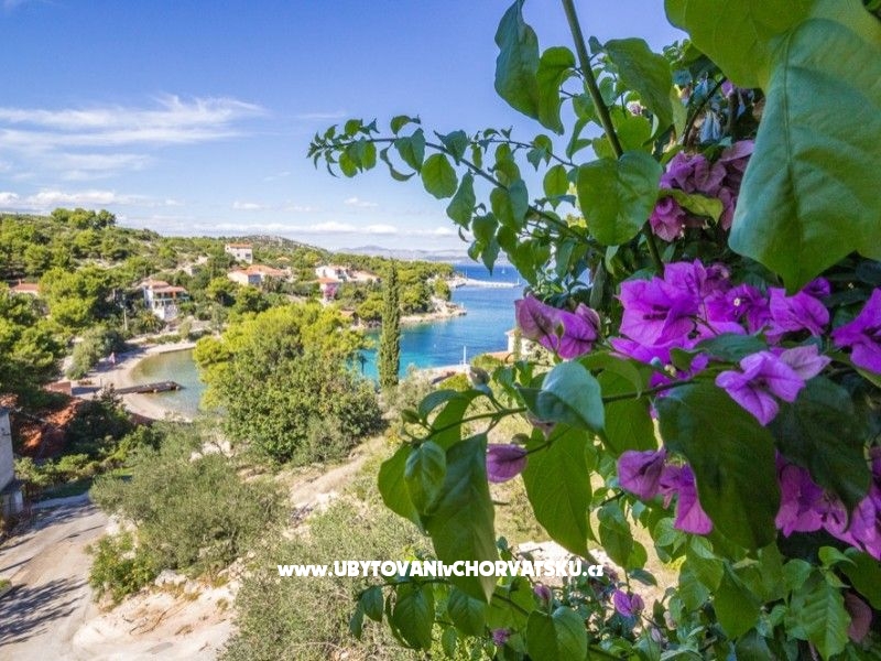 Ferienwohnungen Solta – Ferienwohnung Insel Solta, Kroatien – Foto 15