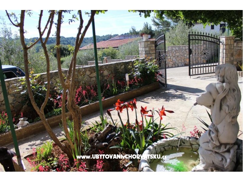 Ferienwohnungen Solta – Ferienwohnung Insel Solta, Kroatien – Foto 18