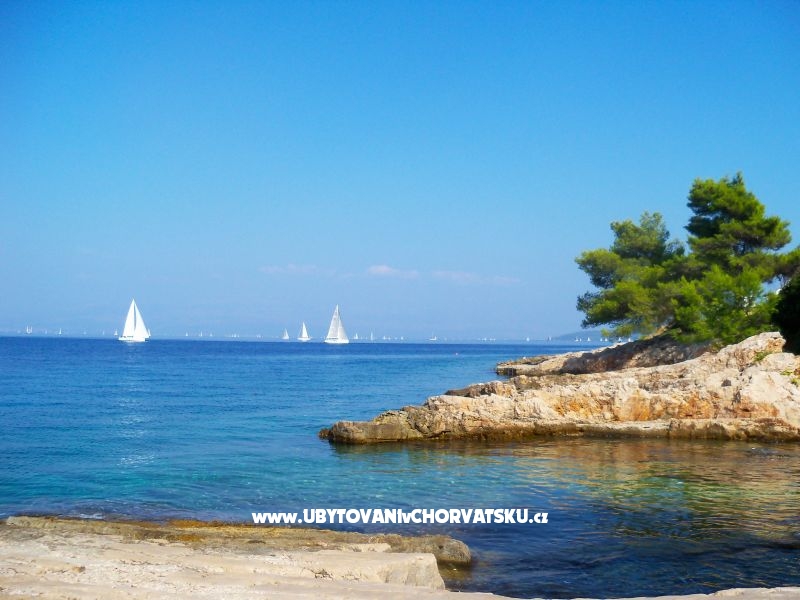 Apartmány Mario – ubytování ostrov Šolta, Chorvatsko – foto 11