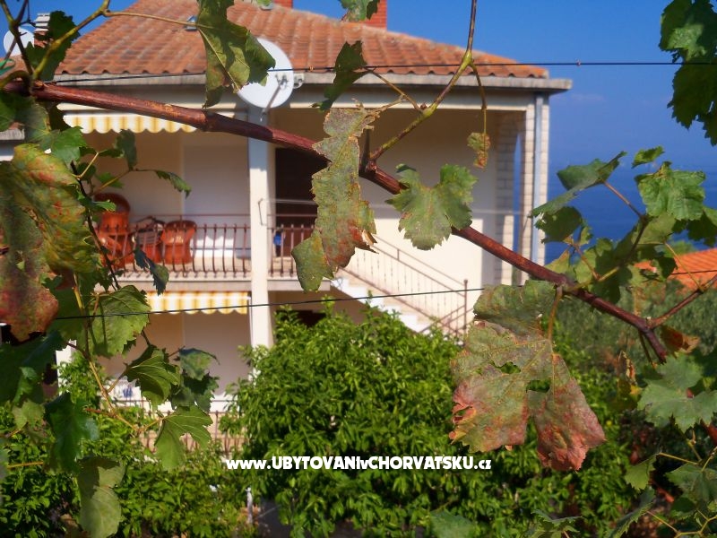 Apartmány Mario – ubytování ostrov Šolta, Chorvatsko – foto 5