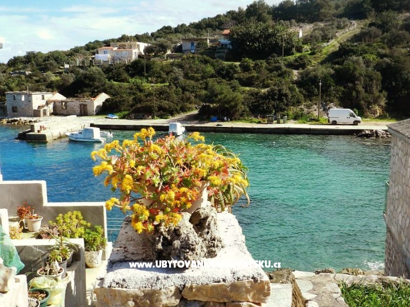 Ferienwohnungen Smiljana – Ferienwohnung Insel Solta, Kroatien – Foto 14
