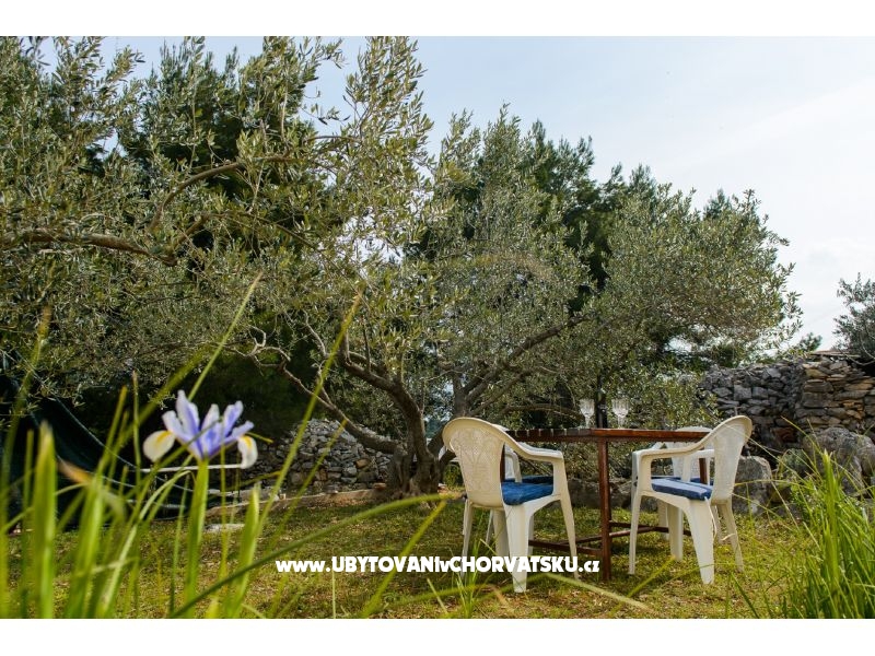 Kuća za odmor Villa Ante – Ferienwohnung Insel Solta, Kroatien – Foto 8