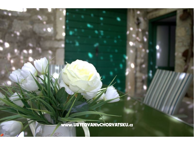 Hacienda Dora – ubytování ostrov Šolta, Chorvatsko – foto 45