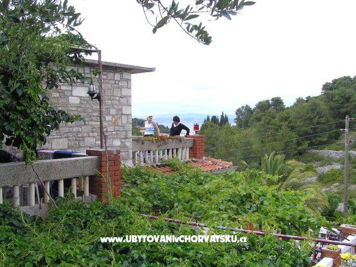 Villa Palmira – ubytování ostrov Šolta, Chorvatsko – foto 3