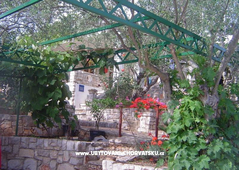 Apartmány Zdravka -15% – ubytování ostrov Šolta, Chorvatsko – foto 4