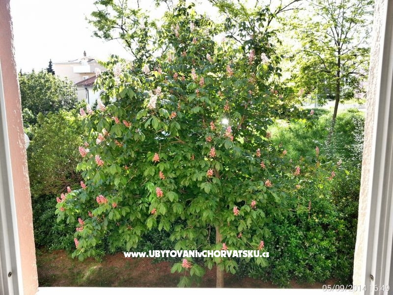 Apartmán Bol - Split – ubytování Split, Chorvatsko – foto 4