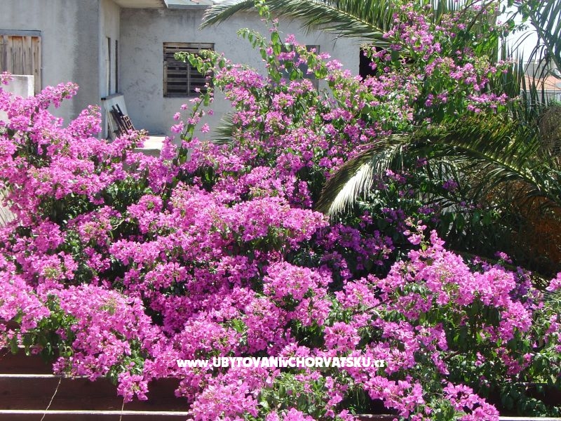 Apartment Mira – Ferienwohnung Split, Kroatien – Foto 1