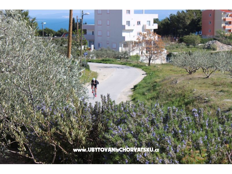 Ferienwohnungen ELI – Ferienwohnung Split, Kroatien – Foto 5