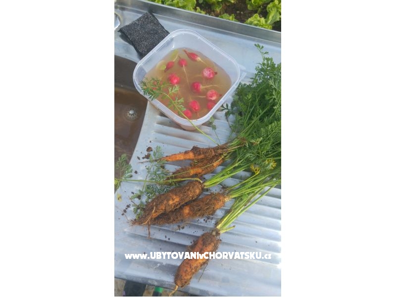 Countryside house mit Pool – Ferienwohnung Split, Kroatien – Foto 17