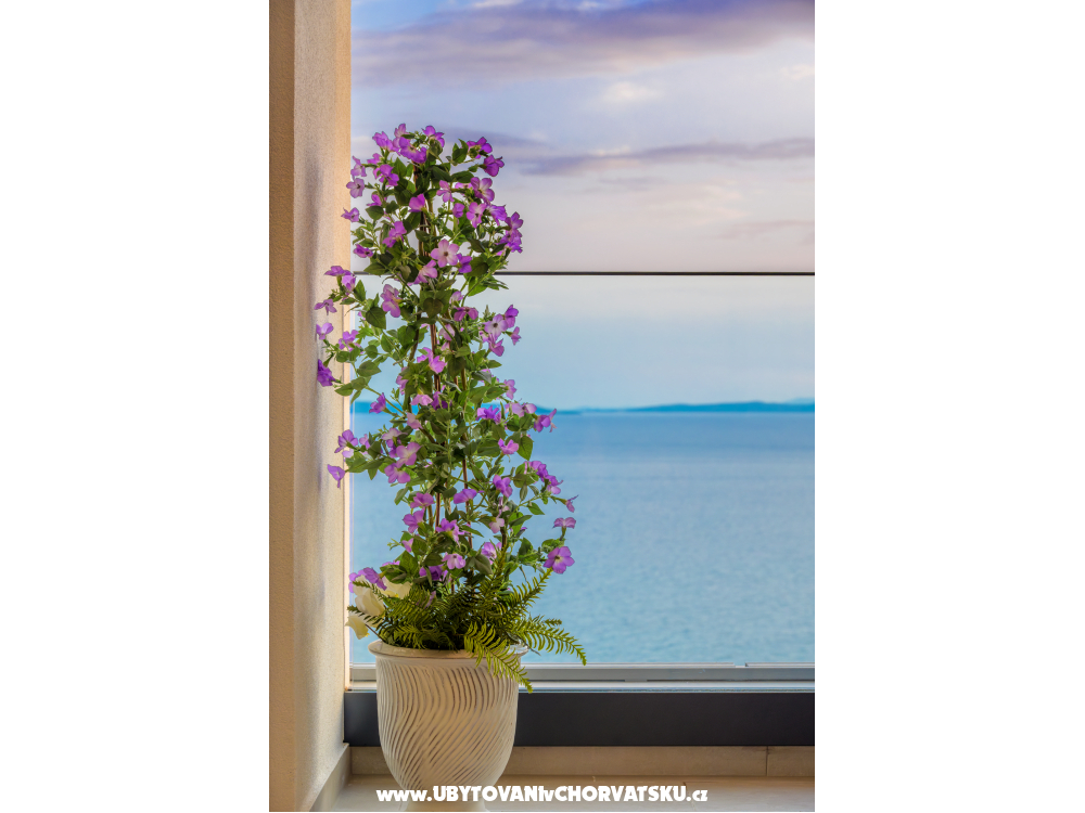 Split Green Eden & Blue Horizon - Split Hrvaška