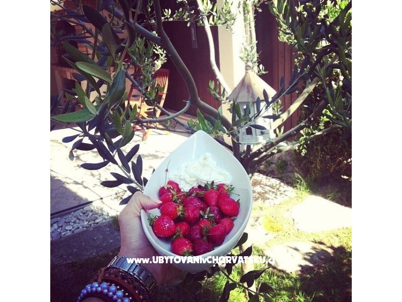 Apartment Dujmovic – Ferienwohnung Split, Kroatien – Foto 4