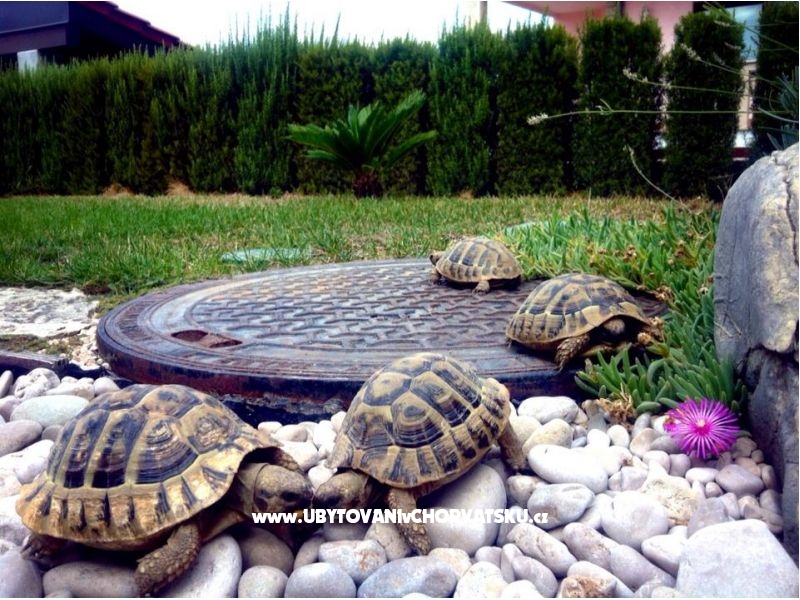 Apartment Dujmovic – Ferienwohnung Split, Kroatien – Foto 5