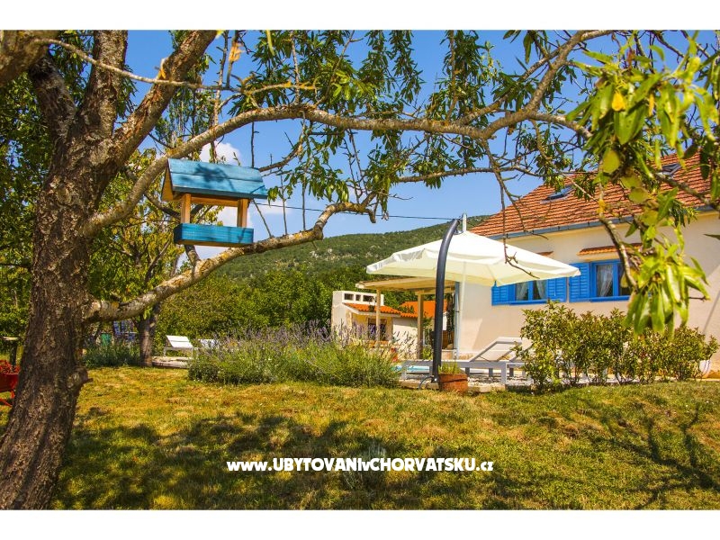 Villa Romansa- 22 km from Split – Ferienwohnung Split, Kroatien – Foto 4