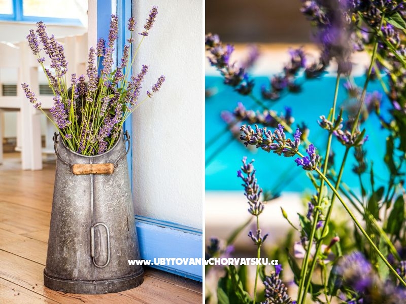 Villa Romansa- 22 km from Split – Ferienwohnung Split, Kroatien – Foto 7