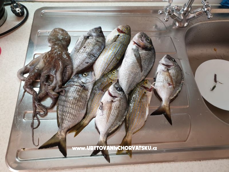 Appartements Lea – Ferienwohnung Sreser, Kroatien – Foto 13