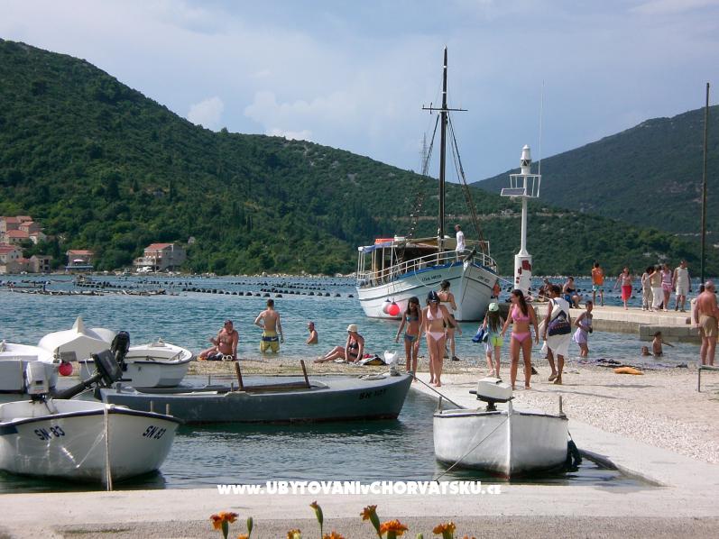 Villa Menalo – ubytování Ston, Chorvatsko – foto 3