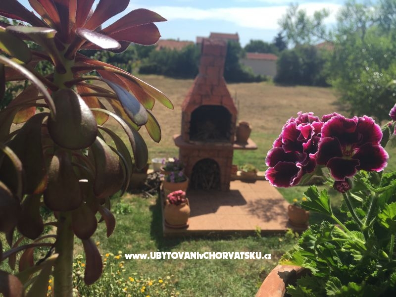 Apartment Dana – Ferienwohnung Sukosan, Kroatien – Foto 11