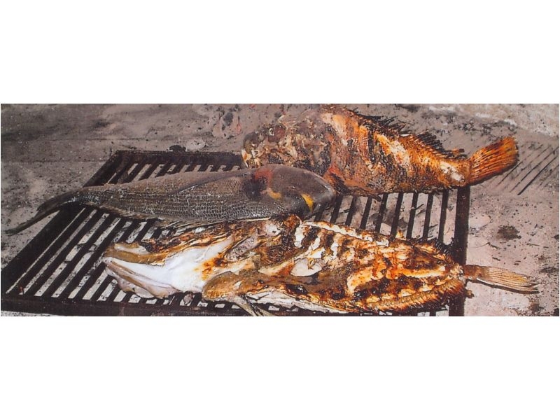 Kuća na plaži Lola Beach Haus Lola – Ferienwohnung Sukosan, Kroatien – Foto 3