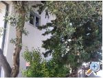 Appartement Parlov - Sukoan Croatie