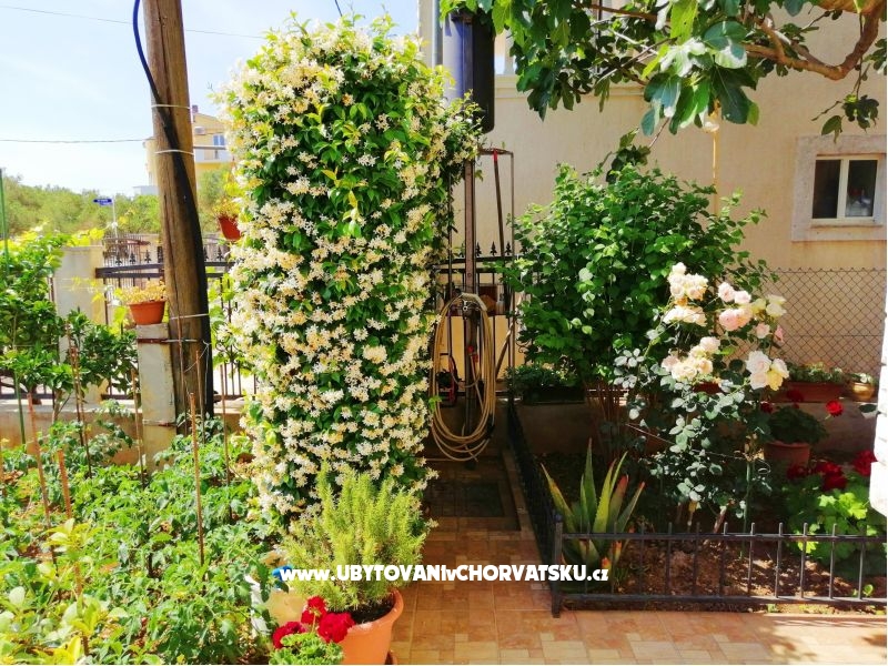 Appartements Brković – Ferienwohnung Sukosan, Kroatien – Foto 8