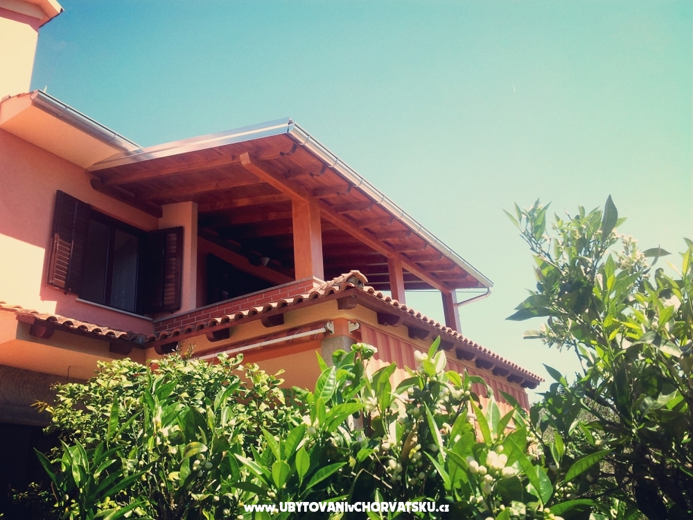 Apartments DARIO - Suko�an - Suko�an Croatia