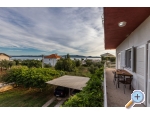 Appartements Maja - Sukoan Kroatien