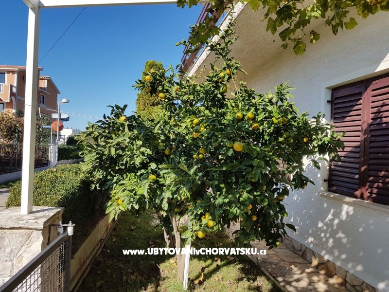 Apartmány Žeger – ubytování Sukošan, Chorvatsko – foto 13