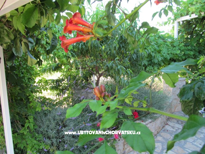 Apartmány Žeger – ubytování Sukošan, Chorvatsko – foto 6