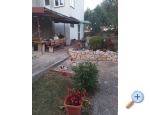 Ferienwohnungen Daa - Sukoan Kroatien
