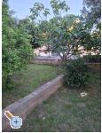 Apartmny Daa - Sukoan Chorvatsko
