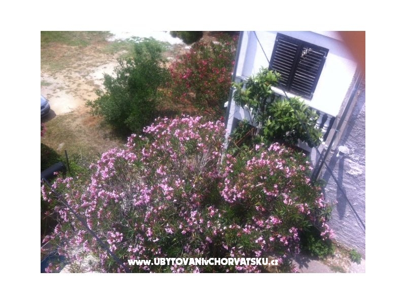 Ferienwohnungen Ivan  – Ferienwohnung Sukosan, Kroatien – Foto 15