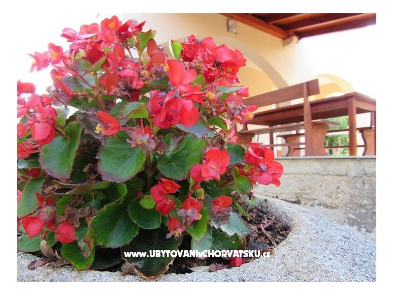 Kuća za odmor Dević – Ferienwohnung Sukosan, Kroatien – Foto 15