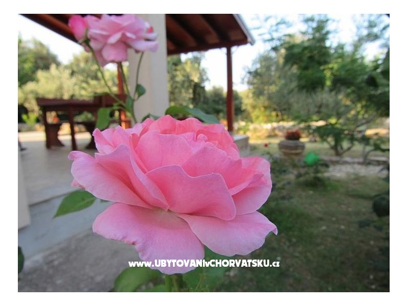 Kuća za odmor Dević – Ferienwohnung Sukosan, Kroatien – Foto 2