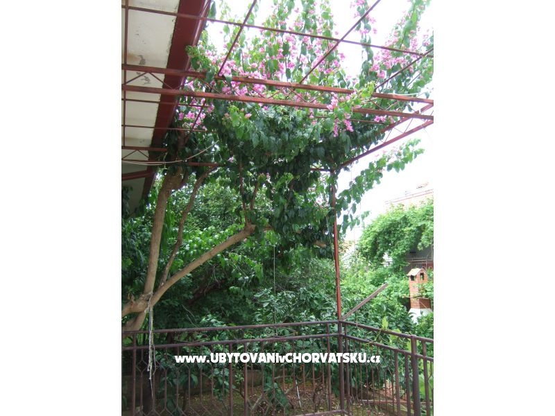 Apartment Lenka – Ferienwohnung Supetar – Brac, Kroatien – Foto 4