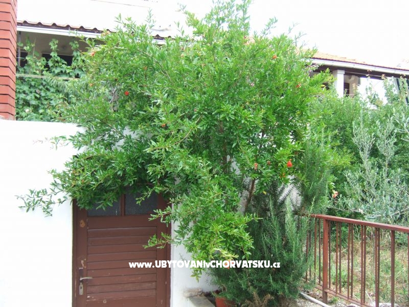 Apartment Lenka – Ferienwohnung Supetar – Brac, Kroatien – Foto 5