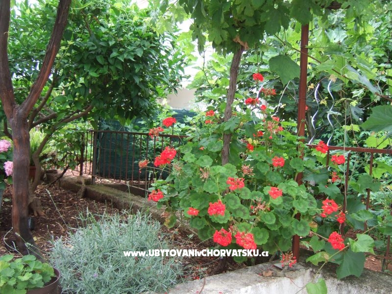 Apartment Lenka – Ferienwohnung Supetar – Brac, Kroatien – Foto 6