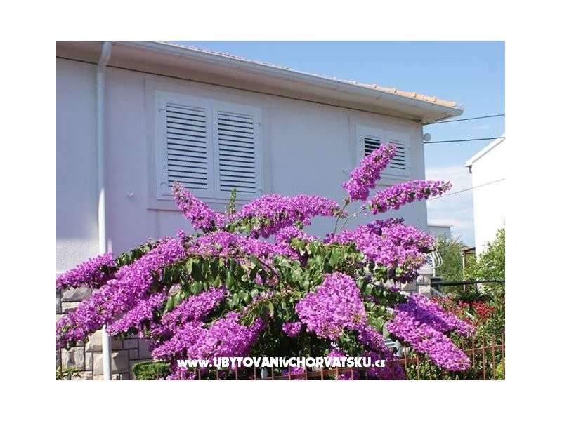 Apartment Slavka – Ferienwohnung Supetar – Brac, Kroatien – Foto 1