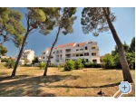Appartement Tanja - Supetar  Bra Kroatien