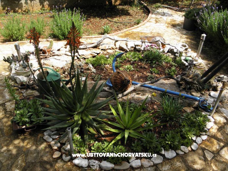 Kuća za odmor Ivana – Ferienwohnung Supetar – Brac, Kroatien – Foto 17