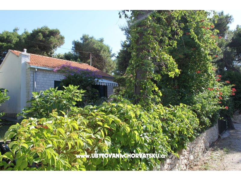 Villa Dragan – Ferienwohnung Supetar – Brac, Kroatien – Foto 3