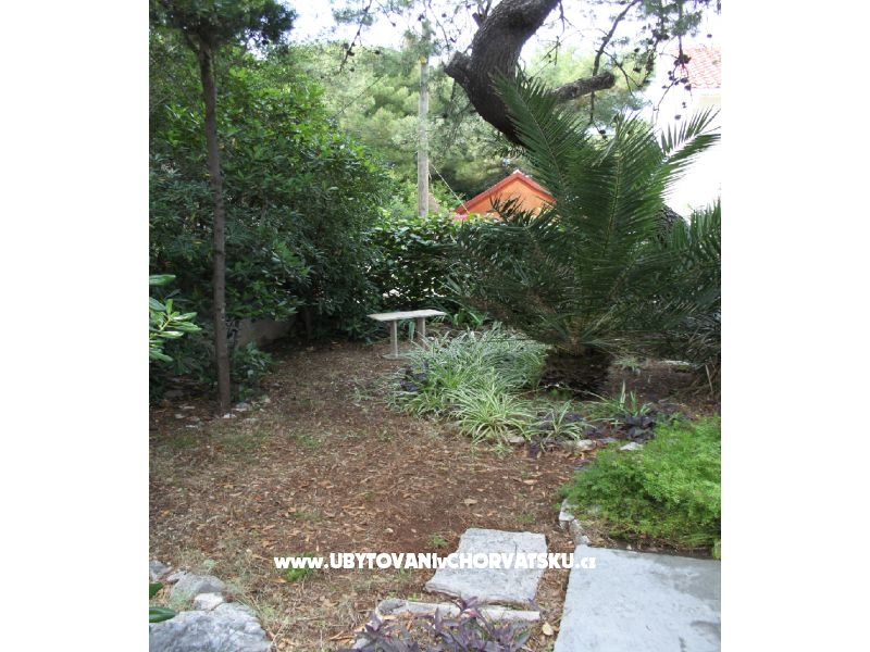 Villa Dragan – Ferienwohnung Supetar – Brac, Kroatien – Foto 5