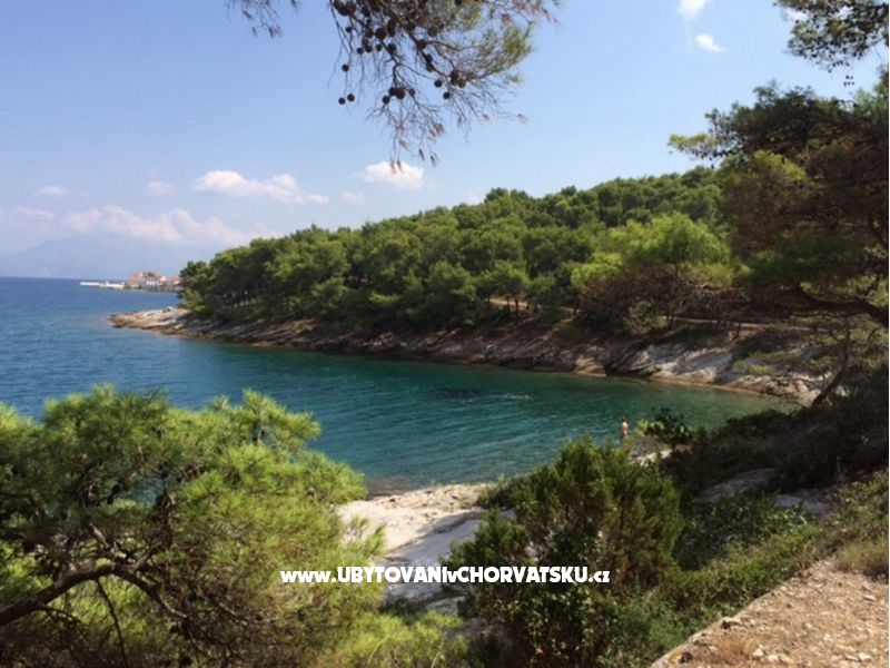 Vile Dinoti – Ferienwohnung Supetar – Brac, Kroatien – Foto 18